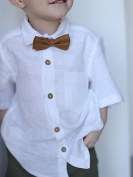 Галстук-бабочка Teddy limited safari